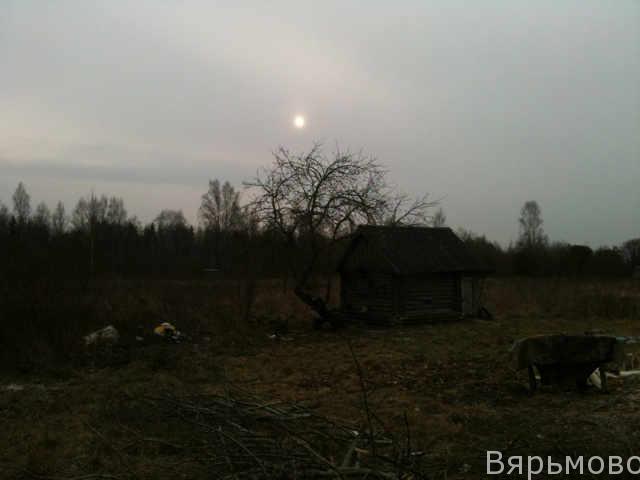 Тусклое солнце конца Псковской осени